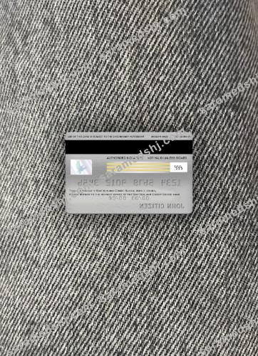 Switzerland Credit Suisse bank visa platinum card photolook back